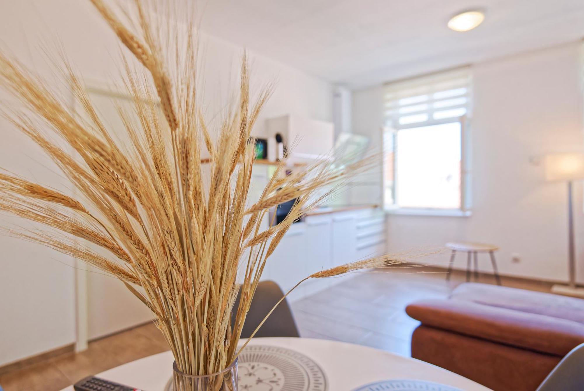 Modern Family Apartment In バンベルク エクステリア 写真
